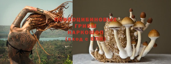 a pvp Абдулино