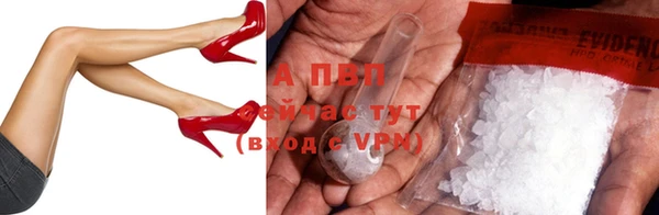 ECSTASY Сосновка